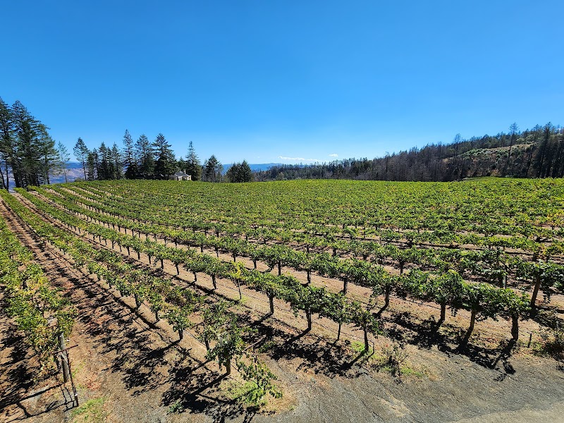 Schweiger Vineyards & Winery photo 4