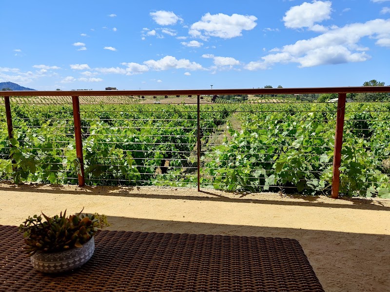 Ridge Vineyards - Lytton Springs photo 4