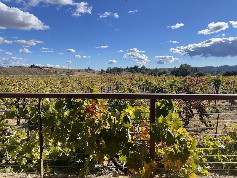 Ridge Vineyards - Lytton Springs photo 5