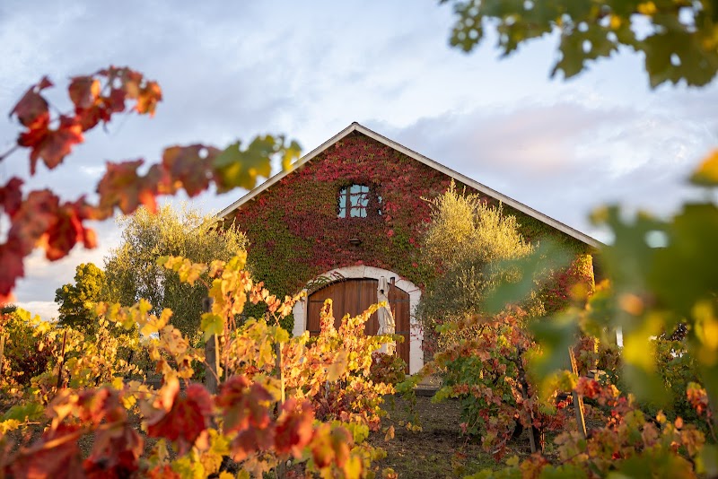 Gamba Vineyards & Winery photo 1
