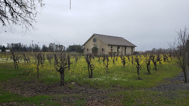 Gamba Vineyards & Winery photo 4