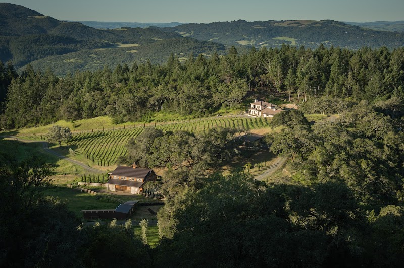 Steelhead Creek Winery photo 1