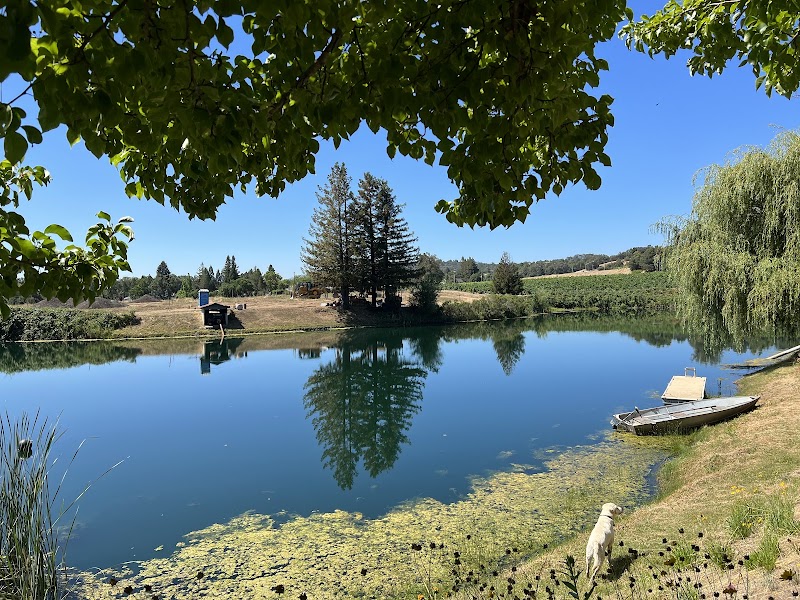 Testa Vineyards photo 4