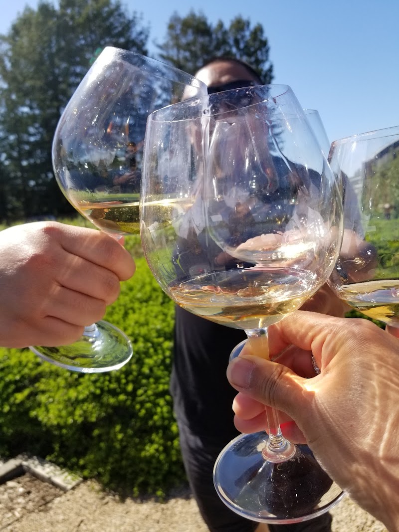 DeLoach Vineyards photo 4