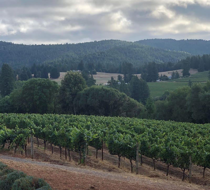 Brashley Vineyards Tasting Room and Winery photo 1