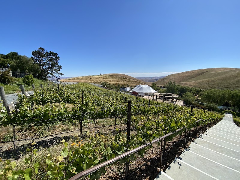 Nella Terra Cellars photo 5