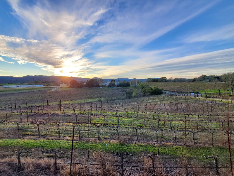 Mazzocco Sonoma photo 1