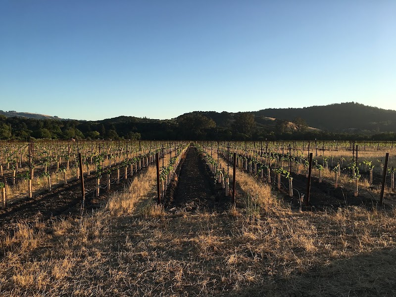 St. Anne's Crossing Winery and Guest House photo 5