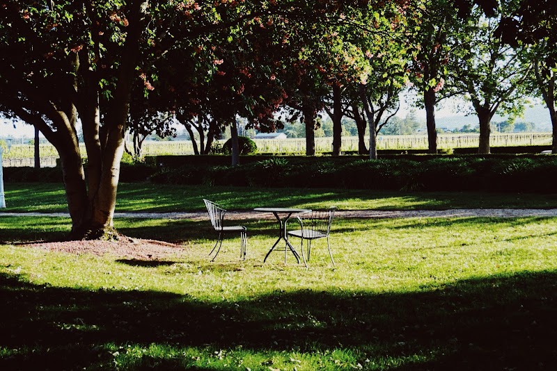 Monticello Vineyards photo 1