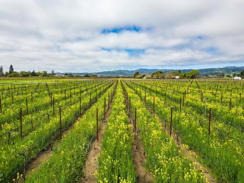 Monticello Vineyards photo 4