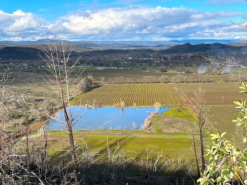Domaine Helena - Vineyard & Winery photo 4