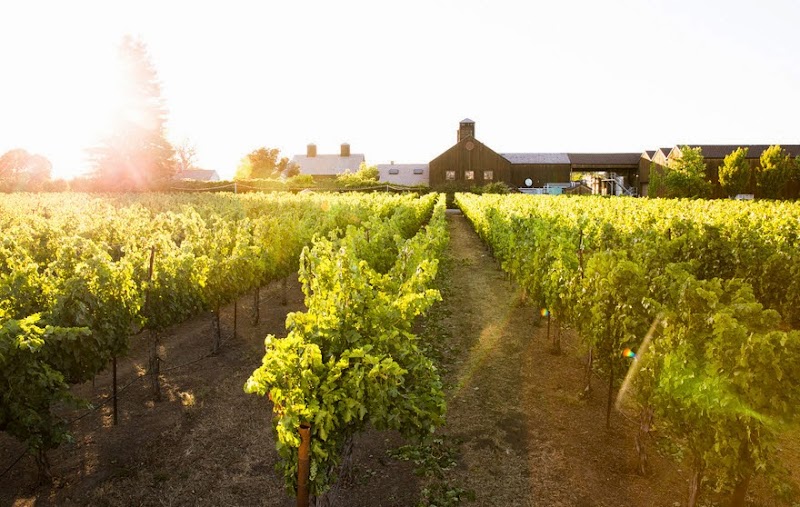 Turnbull Wine Cellars photo 1