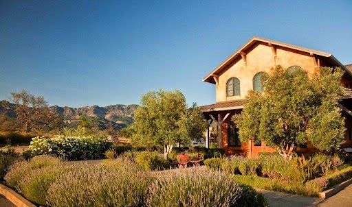 Envy Wines photo 1
