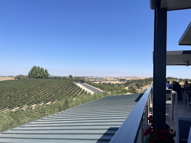 Bovino Vineyards photo 4