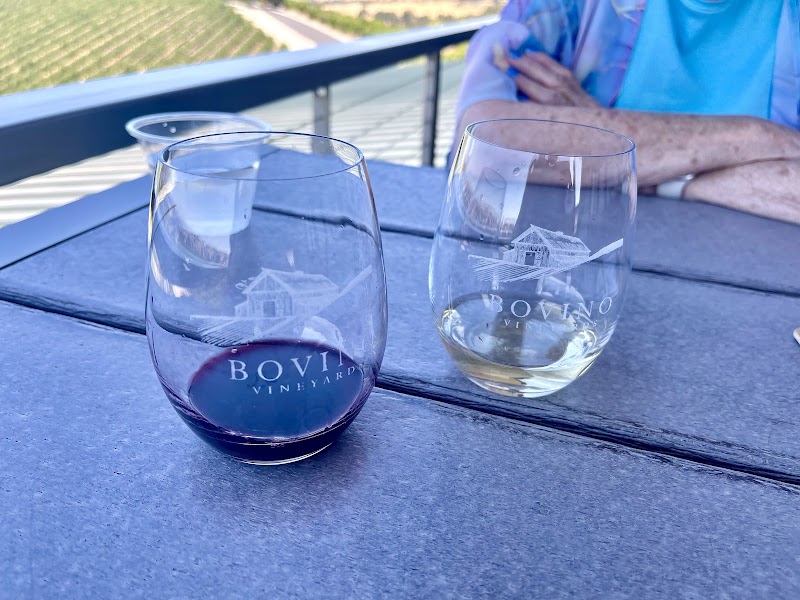 Bovino Vineyards photo 5