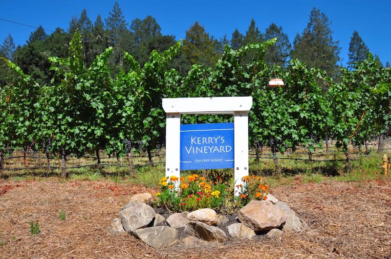 Tom Eddy Winery photo 5