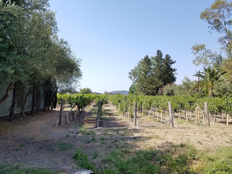 Elyse Winery photo 1
