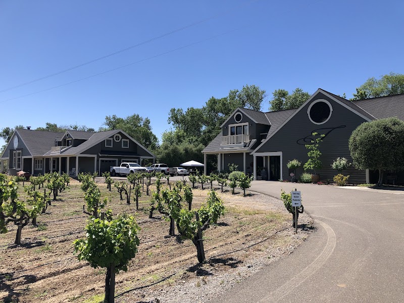 Talty Vineyards & Winery photo 1