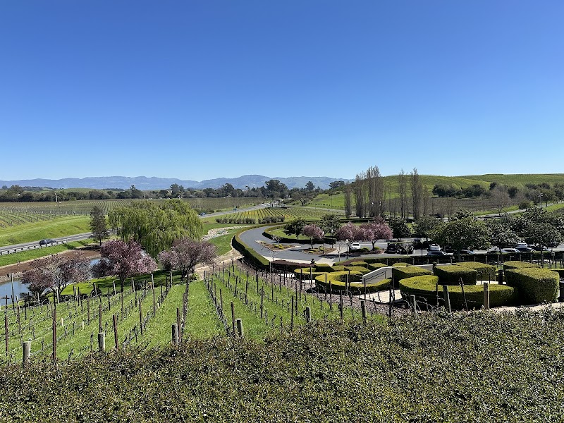 Domaine Carneros photo 4
