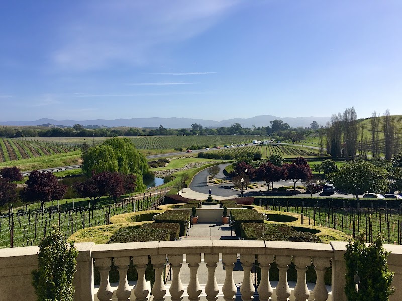 Domaine Carneros photo 5