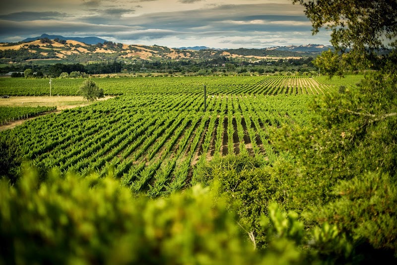 TWOMEY Russian River Valley photo 1