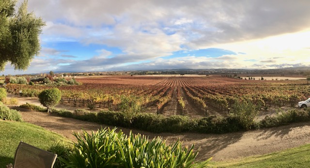 Still Waters Vineyards and Tasting Room photo 1