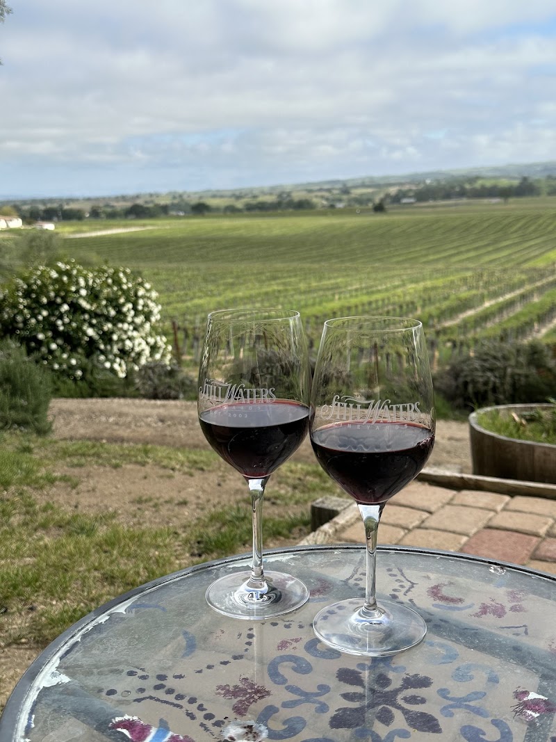 Still Waters Vineyards and Tasting Room photo 4