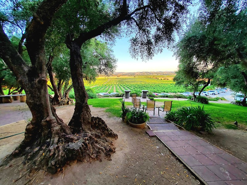 Still Waters Vineyards and Tasting Room photo 5