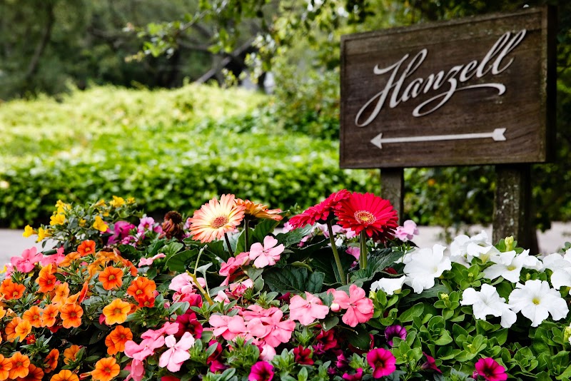 Hanzell Vineyards photo 1