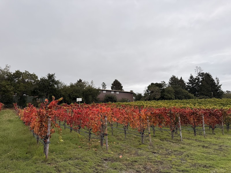Merry Edwards Winery photo 4