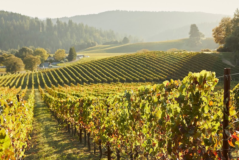 Domaine Anderson photo 4