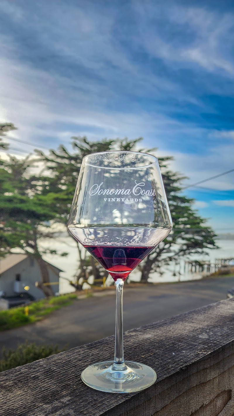Sonoma Coast Vineyards photo 5