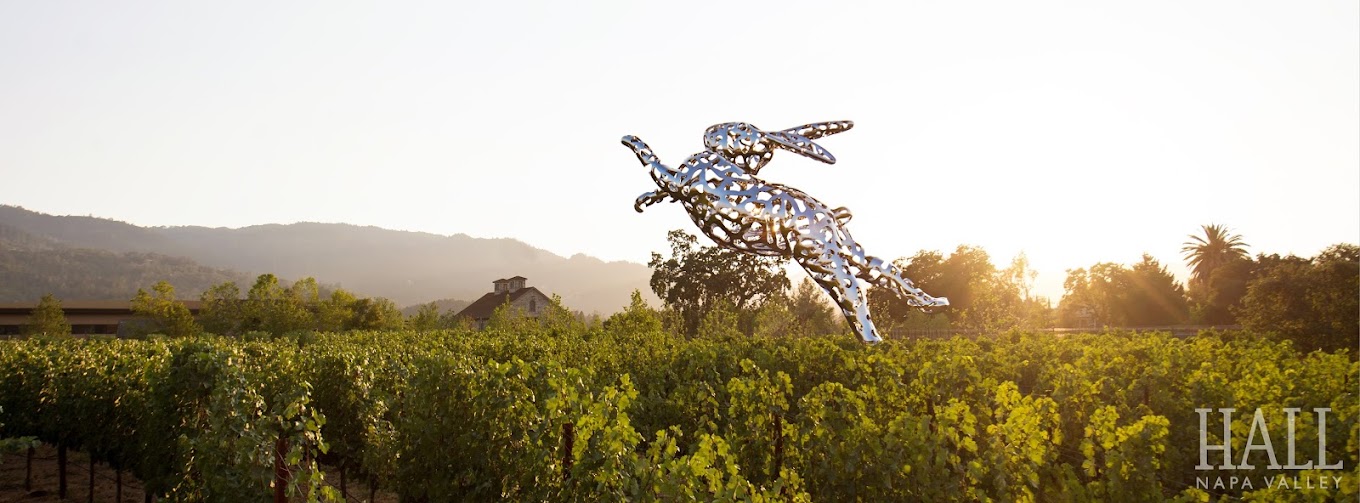 HALL Wines St. Helena photo 1