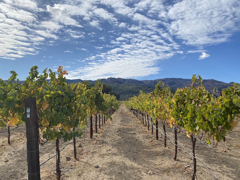 HALL Wines St. Helena photo 6