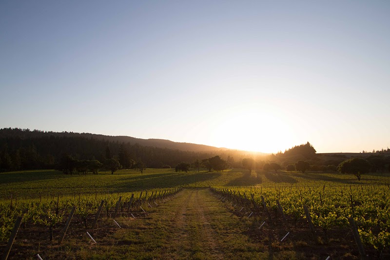 Long Meadow Ranch Winery - Anderson Valley Tasting Room photo 1
