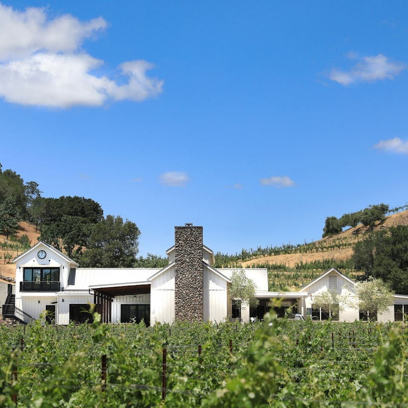Baldacci Family Vineyards photo 1
