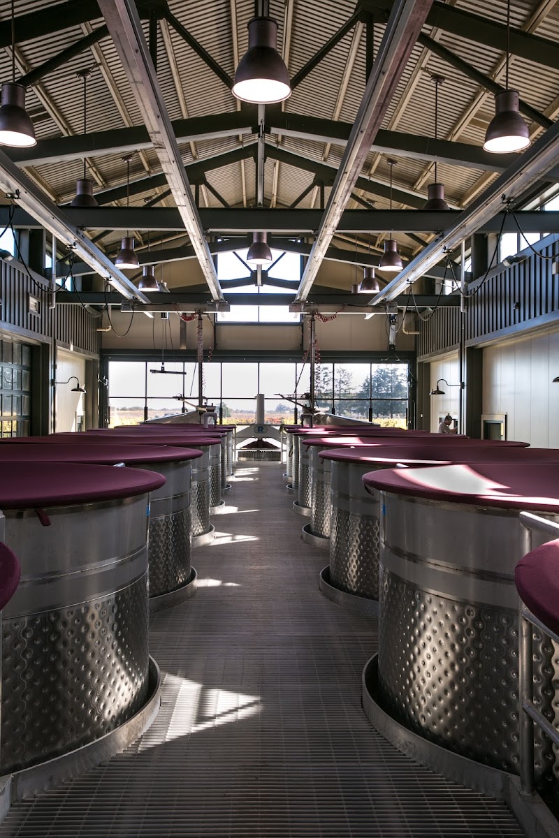 Benovia Winery photo 5