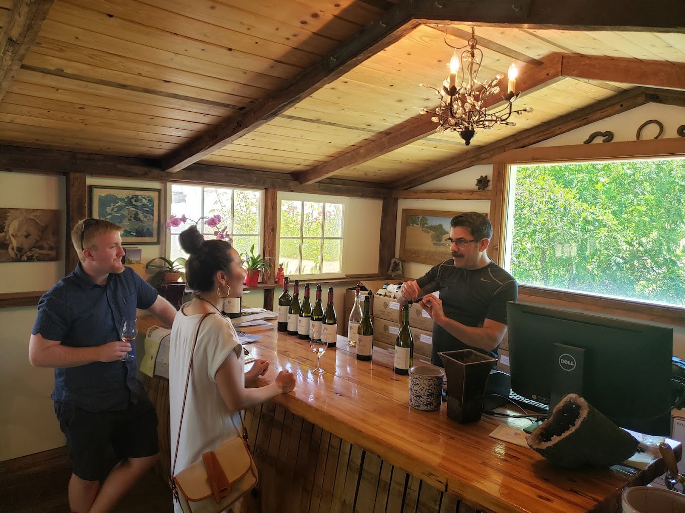 Porter Creek Vineyards photo 1