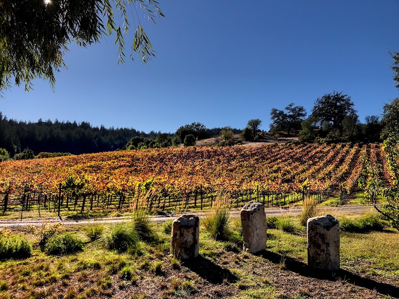 Porter Creek Vineyards photo 4