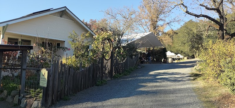 Porter Creek Vineyards photo 6