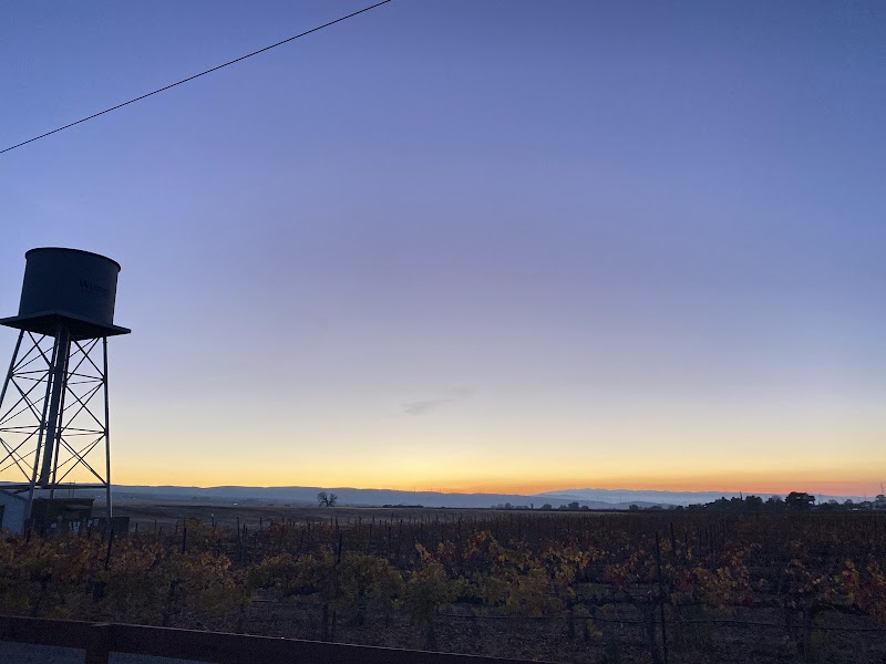 Leisure Street Winery photo 1