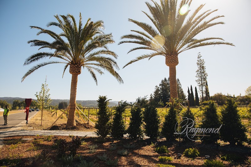 Raymond Vineyards photo 1