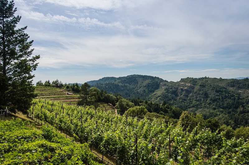 Barnett Vineyards photo 1