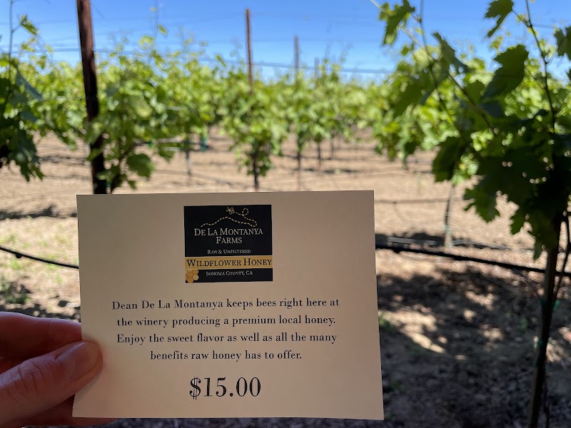 De La Montanya Vineyards & Winery photo 4