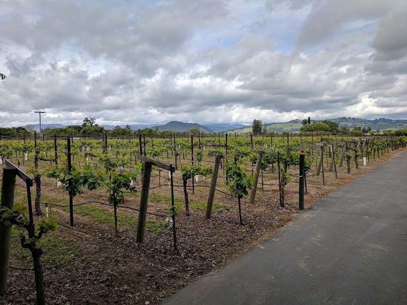De La Montanya Vineyards & Winery photo 5