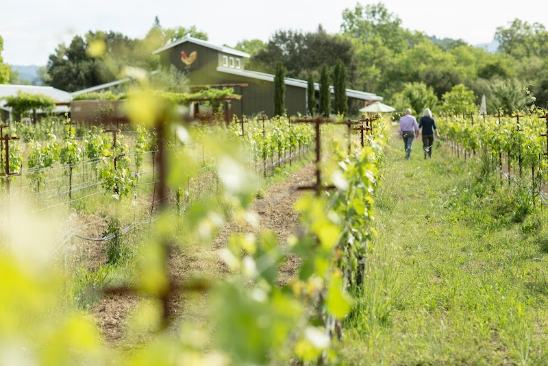 DaVero Farms & Winery photo 1