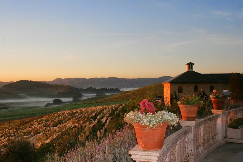Azari Vineyards & Winery photo 5