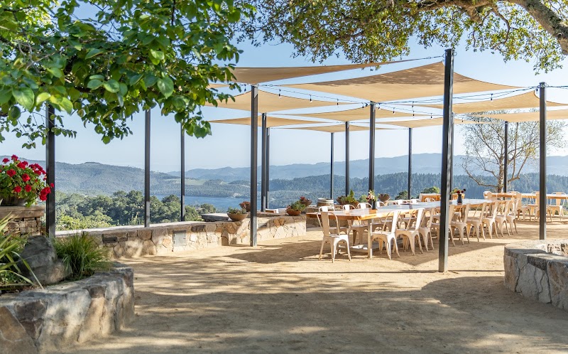 Amizetta Vineyards photo 1