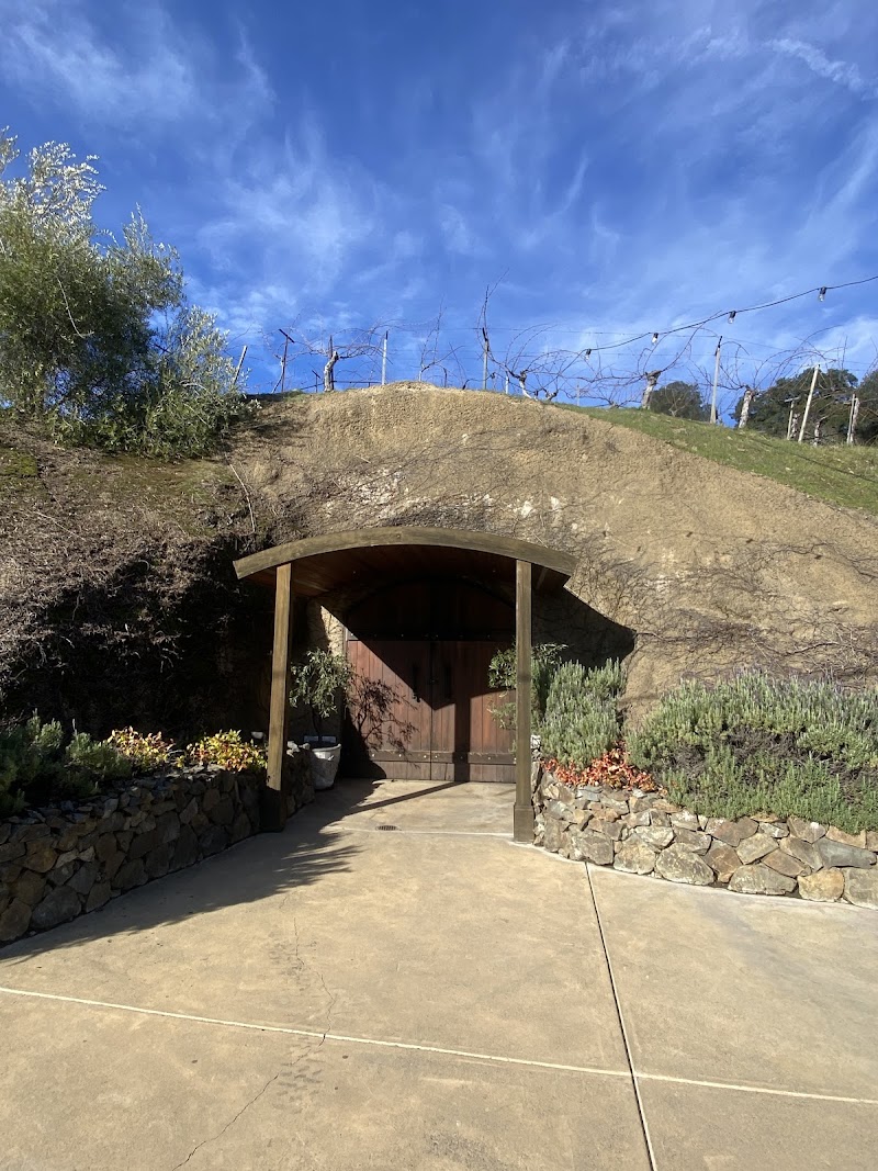 Amizetta Vineyards photo 5