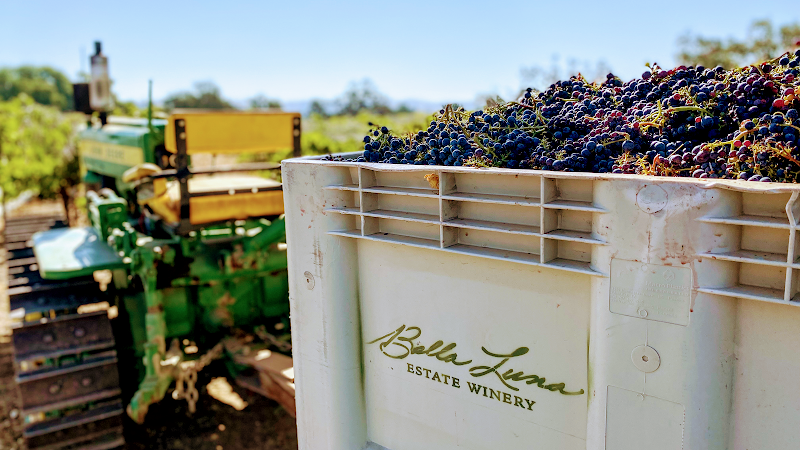 Bella Luna Estate Winery photo 1